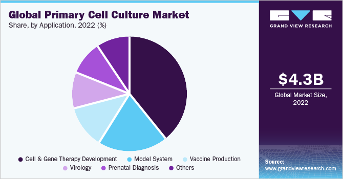 Global primary cell culture market share and size, 2022
